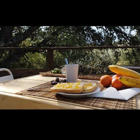 Cabana Del Arbol Lavagarural Villanueva del Rosario Eksteriør billede