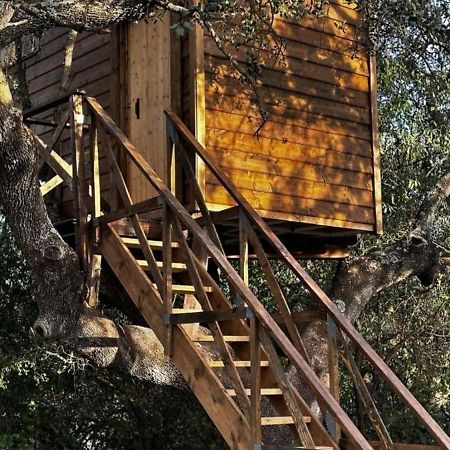 Cabana Del Arbol Lavagarural Villanueva del Rosario Eksteriør billede