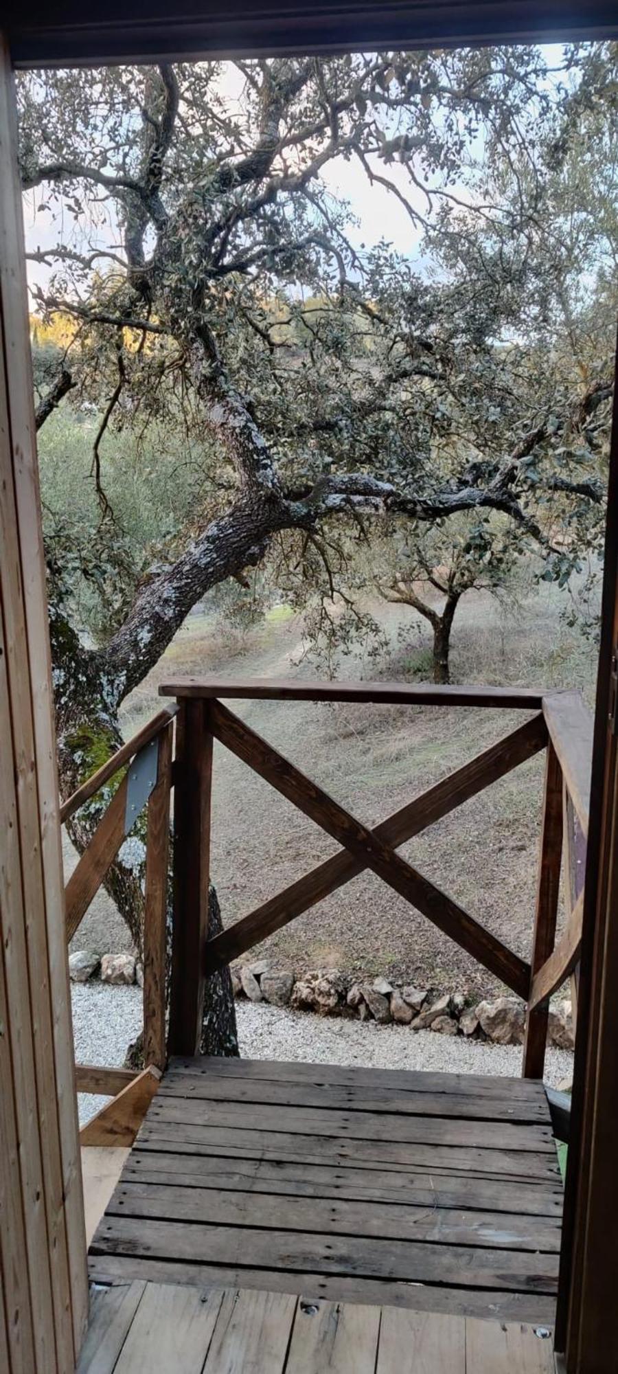 Cabana Del Arbol Lavagarural Villanueva del Rosario Eksteriør billede