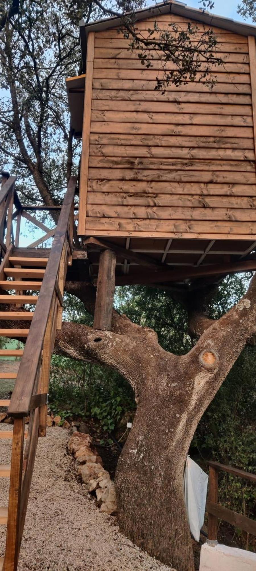 Cabana Del Arbol Lavagarural Villanueva del Rosario Eksteriør billede